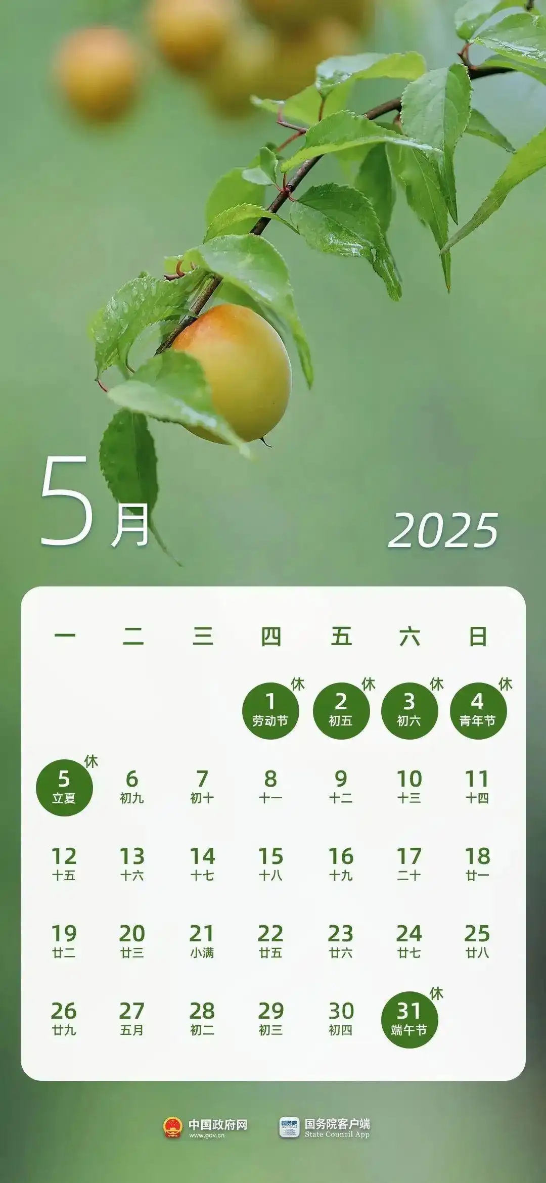 2025年端午节放假通知